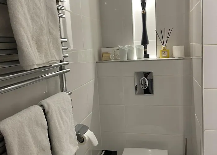 Appartement de charme dans maison du XVIᵉ siècle 2 chambres proche centre Clermont-Ferrand *