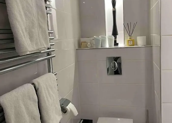 Appartement de charme dans maison du XVIᵉ siècle 2 chambres proche centre Clermont-Ferrand *